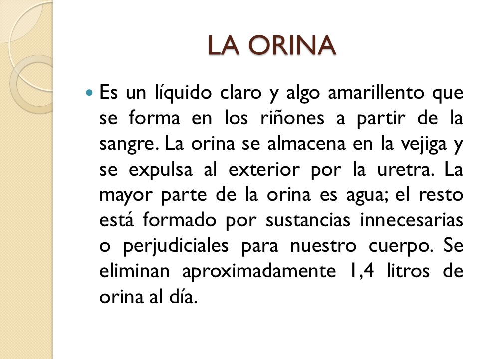 Orina putas de internet Orina putas de internet